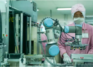 顯揚科技亮相央視直播間