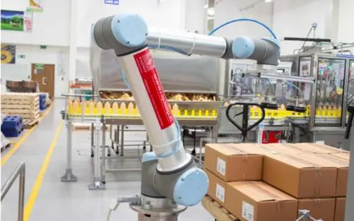 顯揚科技亮相央視直播間