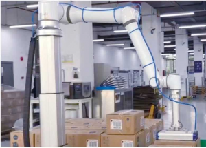 顯揚科技亮相央視直播間