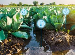 央視采訪 顯揚(yáng)科技亮相央視直播間