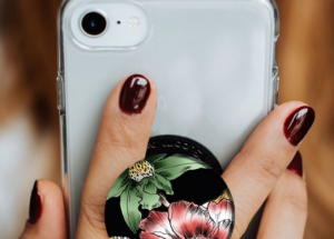 顯揚(yáng)科技亮相央視直播間